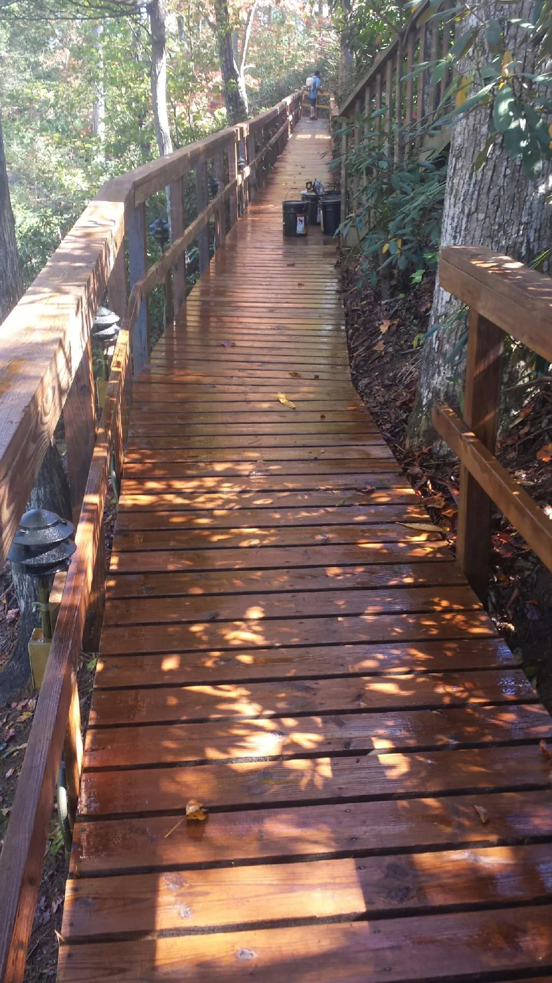 Freshly stained wood walkway winding through the woods in Camarillo